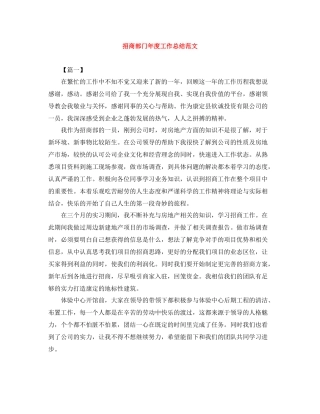 招商部门年度工作总结范文