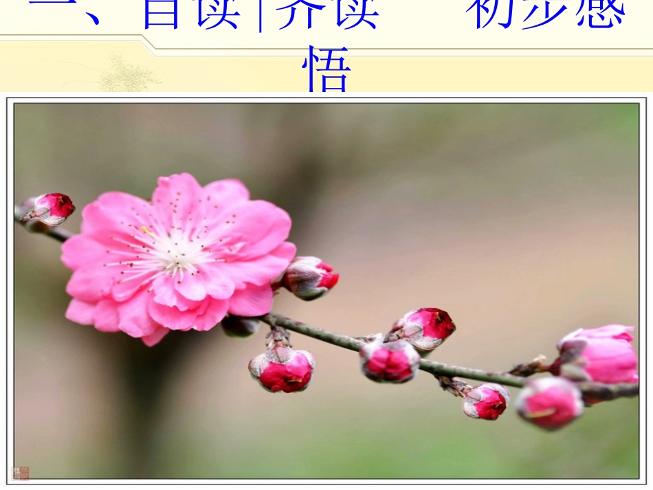 《春夜宴从弟桃花园序》公开课解析-共23页_第2页