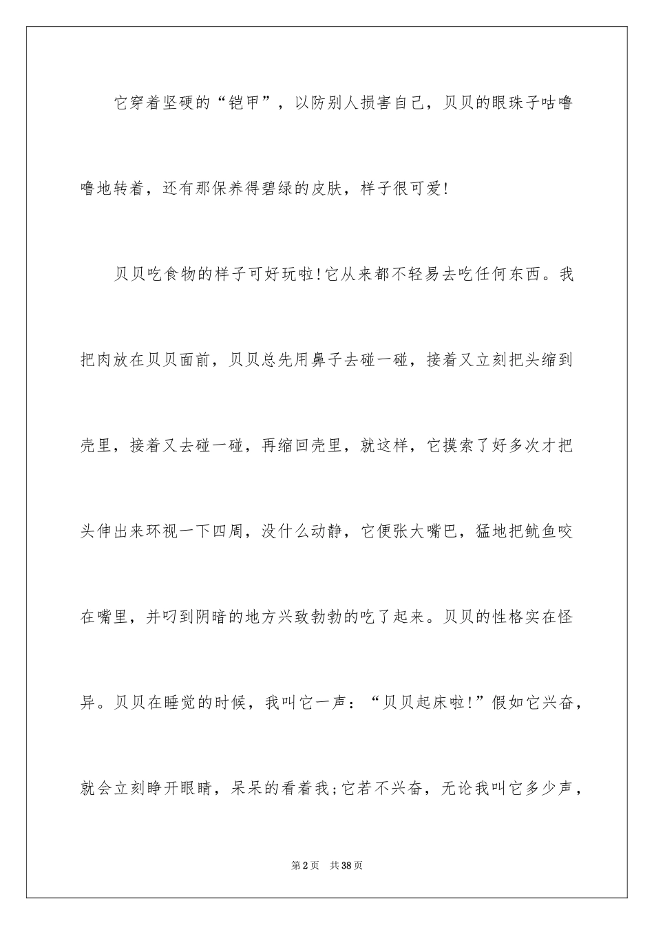 2024乌龟说明文_2_第2页