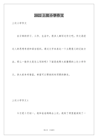 2024上坟小学作文