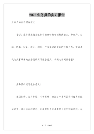 2024业务员的实习报告_2