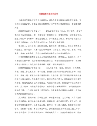 应聘销售自我评价范文