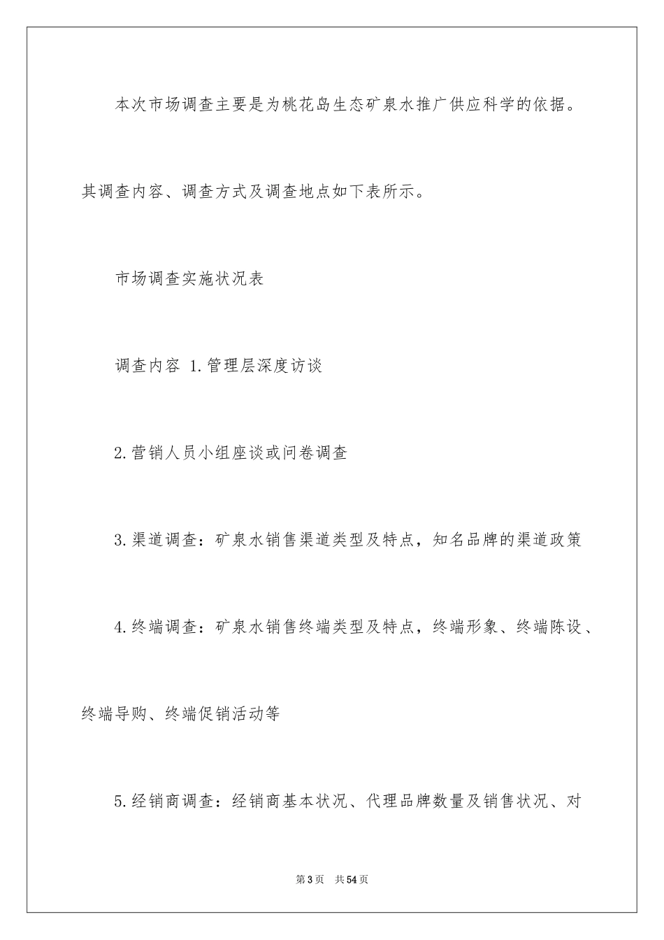 2024产品推广方案_第3页