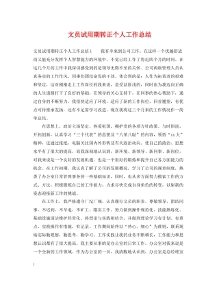 文员试用期转正个人工作总结