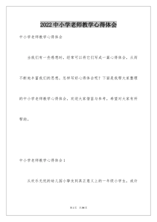 2024中小学老师教学心得体会