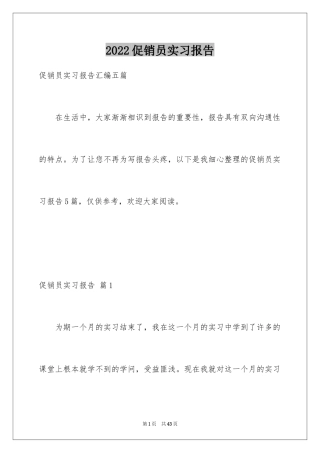 2024促销员实习报告