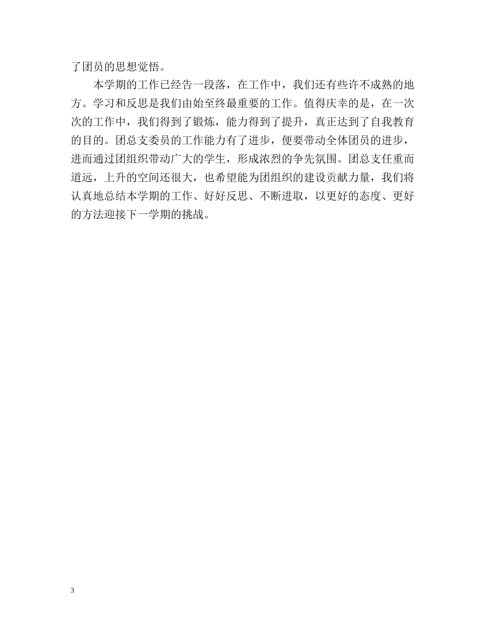 团支部班委会年度工作总结 _第3页