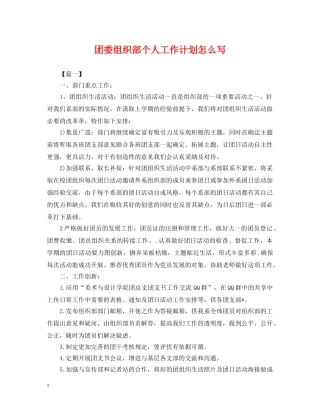 团委组织部个人工作计划怎么写 