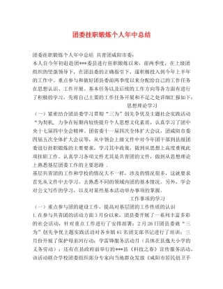 团委挂职锻炼个人年中总结 