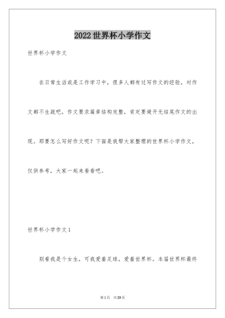 2024世界杯小学作文