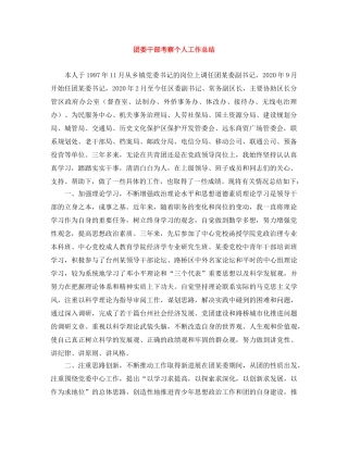 团委干部考察个人工作总结 