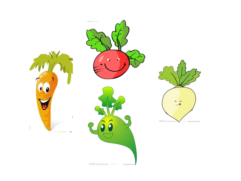 -小班科学《蔬菜奶奶过生日》_第3页