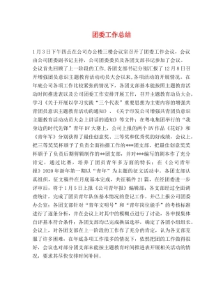 团委工作总结 (2) 