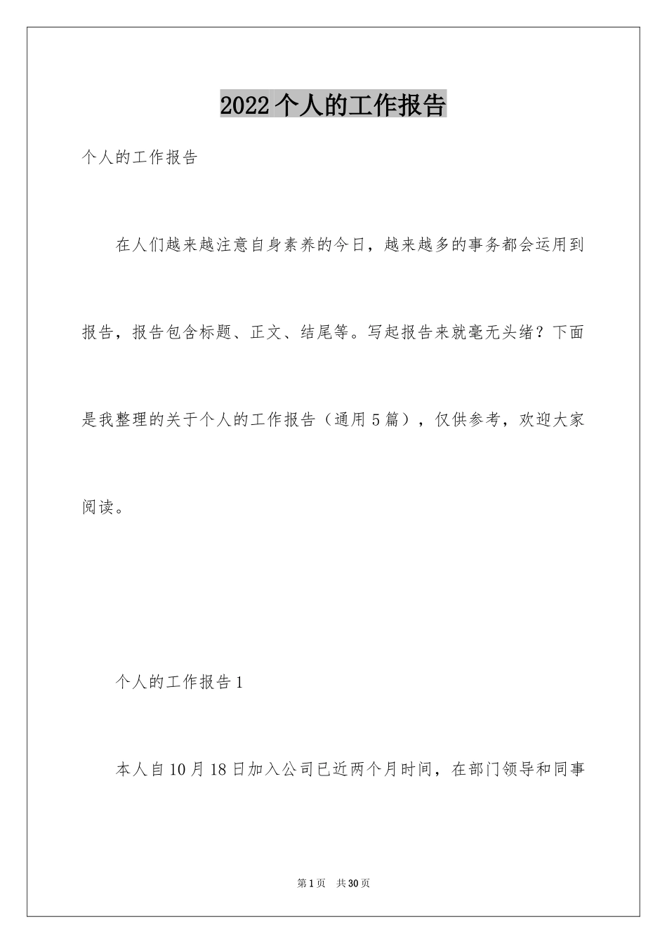 2024个人的工作报告_第1页