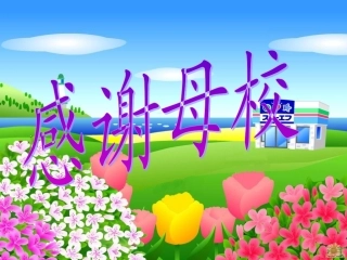 感谢母校作文教学-新