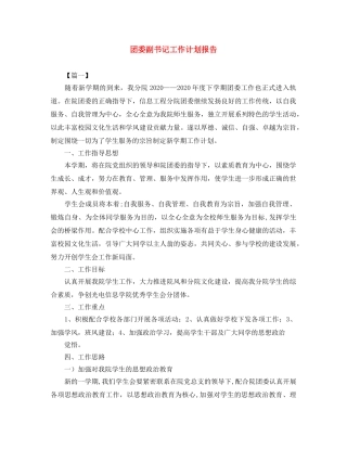 团委副书记工作计划报告 