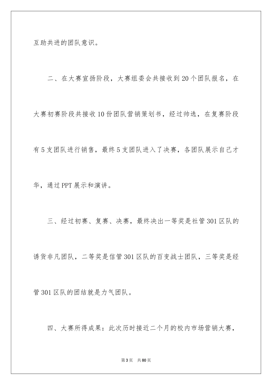 2024促销活动总结_144_第3页