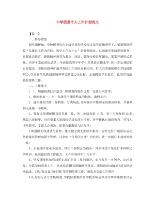 团委个人工作计划范文 