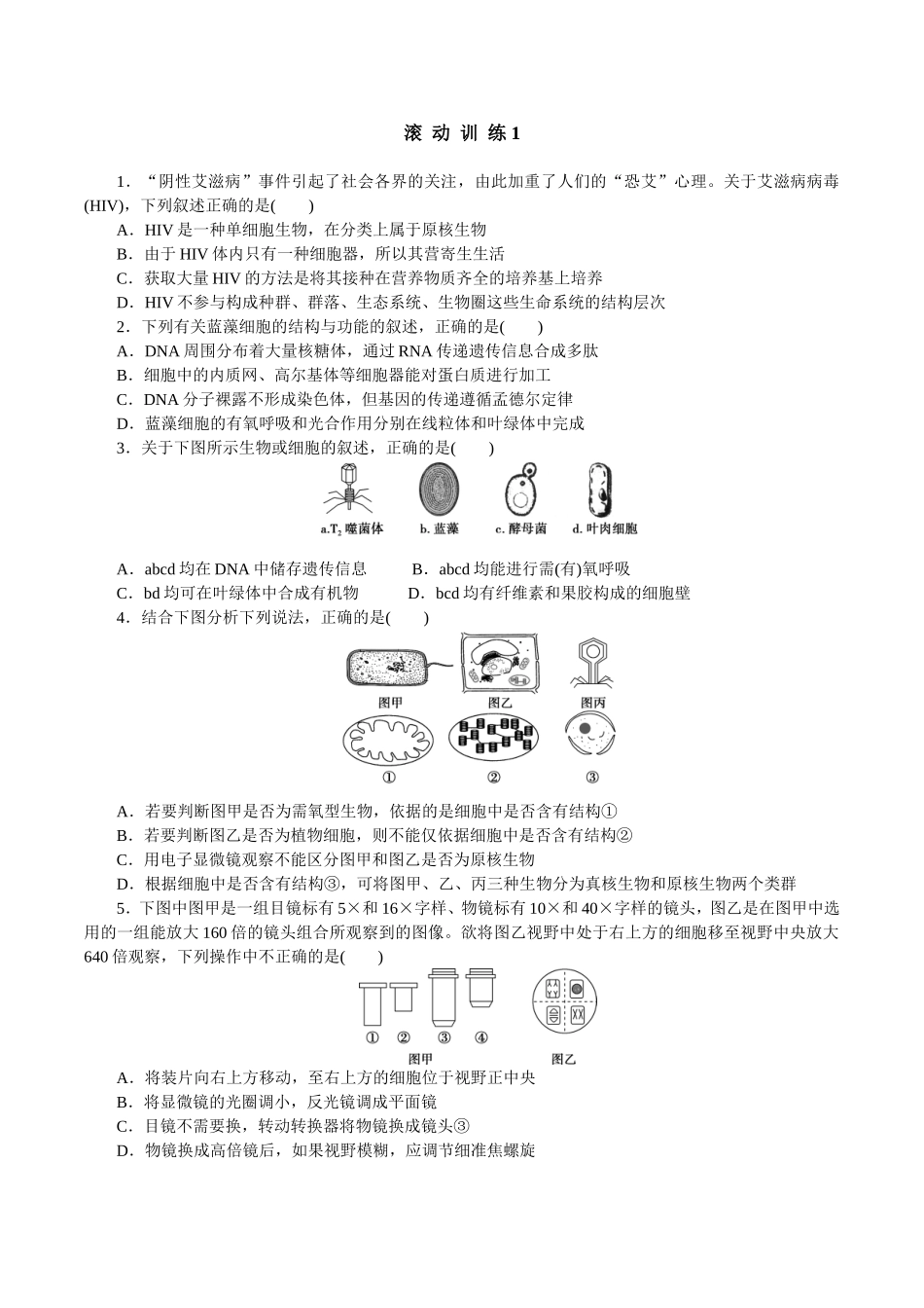 遗传滚动训练1_第1页