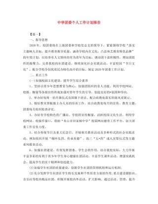 团委个人工作计划报告 