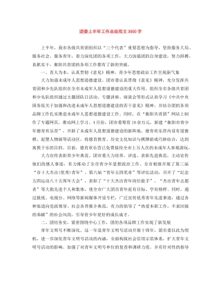 团委上半年工作总结范文3000字 