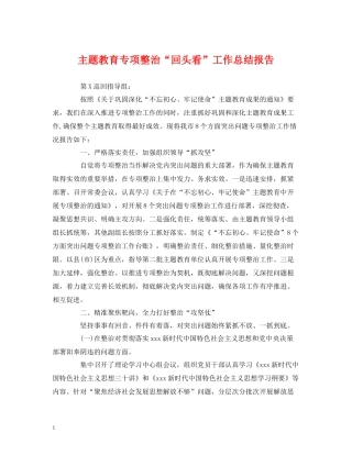 主题教育专项整治回头看工作总结报告