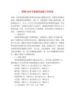 团委2020年度委员选拔工作总结 