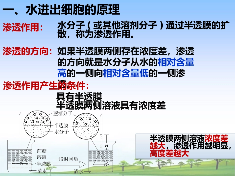 被动运输课件【新教材】人教版（）高中生物必修一(共张PPT)_第3页
