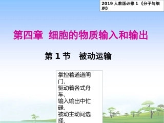被动运输课件【新教材】人教版（）高中生物必修一(共张PPT)