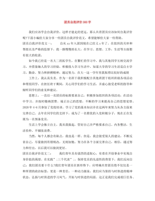 团员自我评价300字 