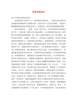 团员自我总结2 
