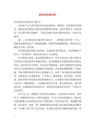 团员的自我评价 