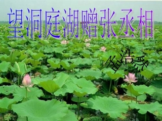 望洞庭湖赠张丞相