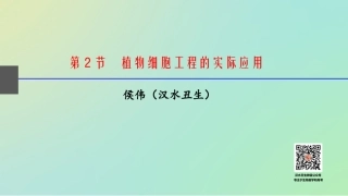 动物细胞工程(汉水丑生课件)