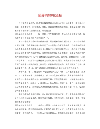 团员年终评议总结 