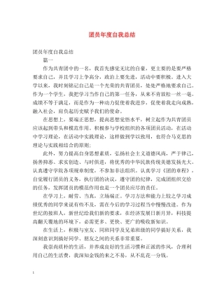 团员年度自我总结2 