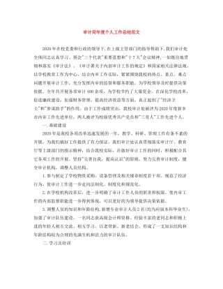 审计局年度个人工作总结范文