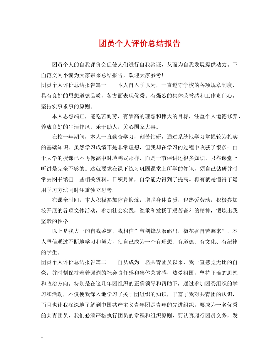团员个人评价总结报告 _第1页