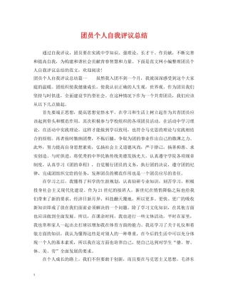 团员个人自我评议总结 