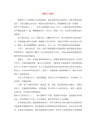 团员个人评价 