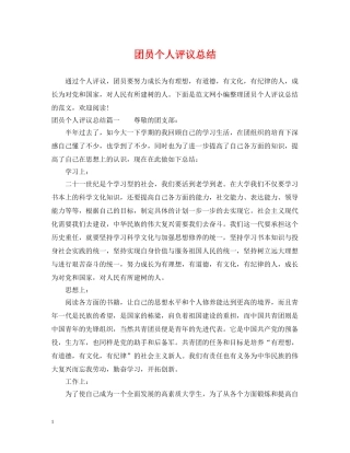 团员个人评议总结 