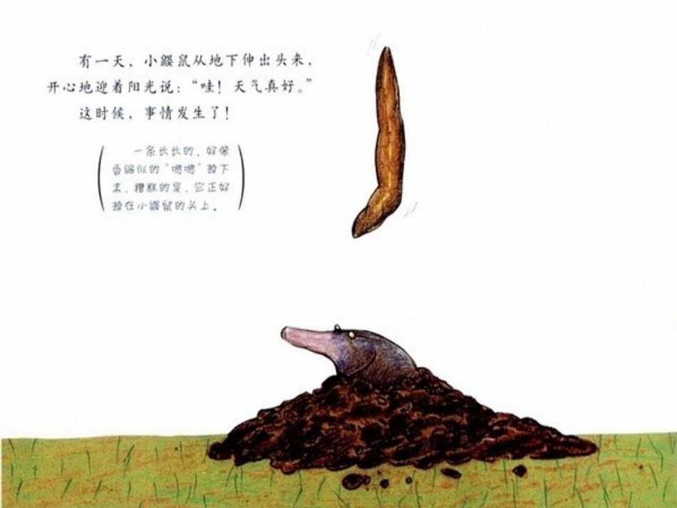 《是谁嗯嗯在我的头上》_第2页