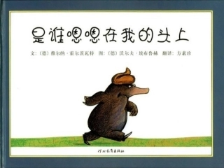 《是谁嗯嗯在我的头上》