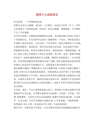 团员个人总结范文 (2) 
