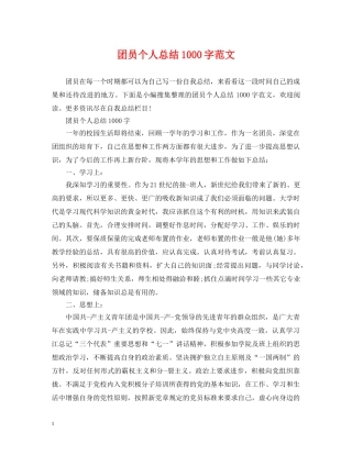 团员个人总结1000字范文 