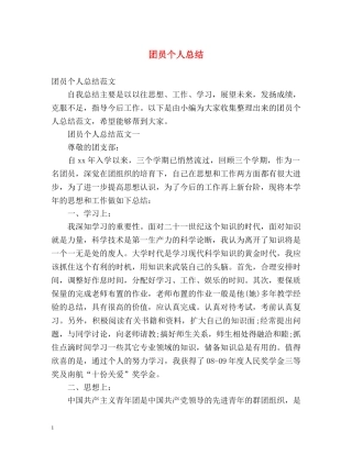 团员个人总结2 