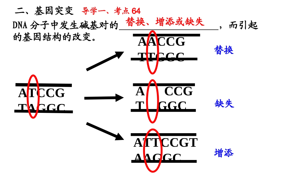 基因突变和基因重组_第3页