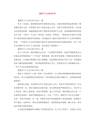 团员个人小结300字 