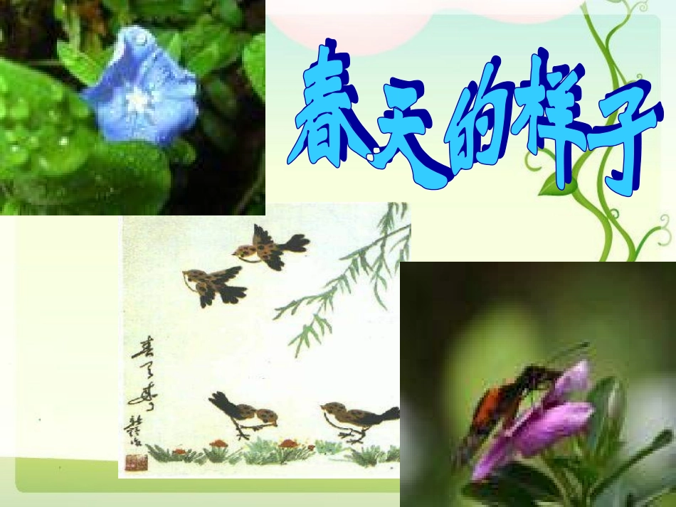 触摸春天_PPT课件_第3页