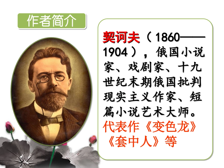 《凡卡》课件 (6)_第2页